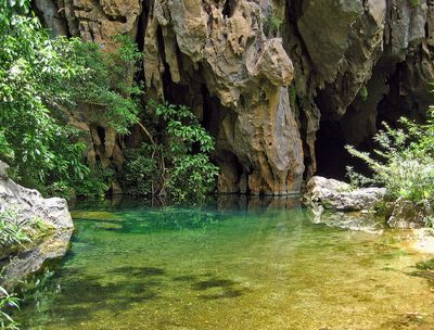 Bach Ma National Park Full Day Tour